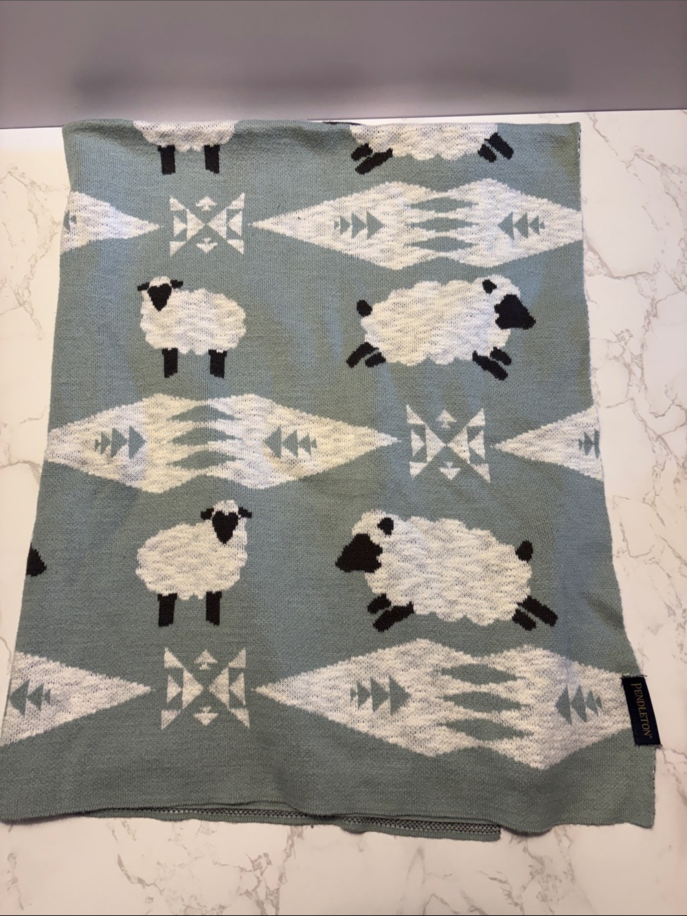 Pendleton quality baby blanket with sheep super soft